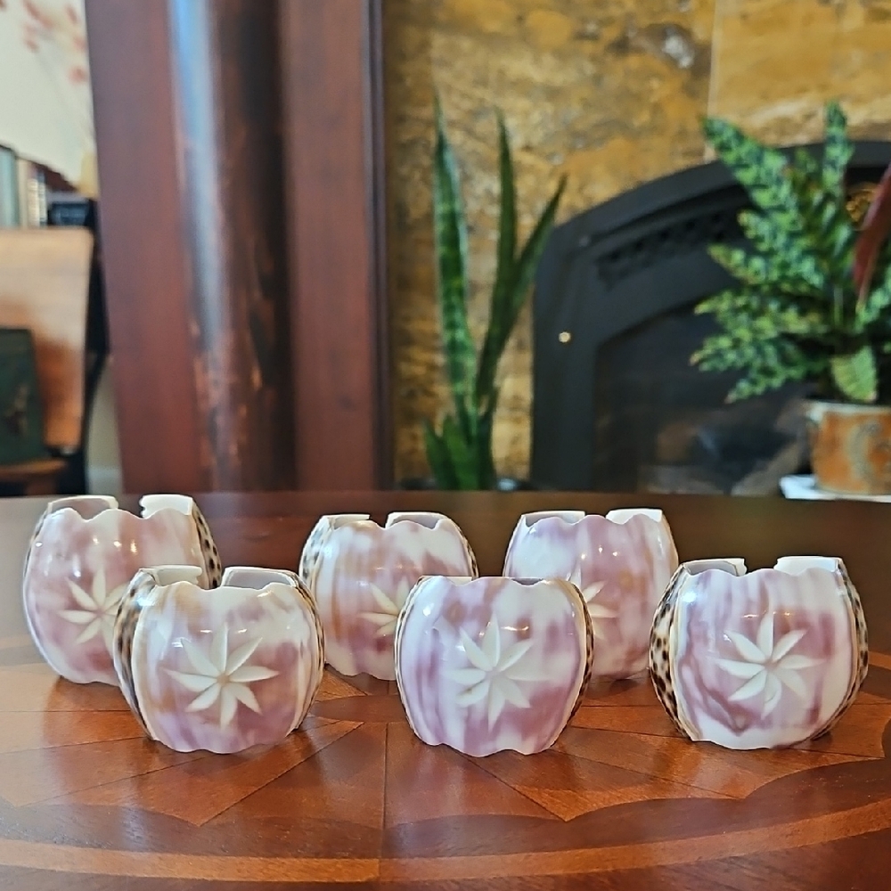 Etched Coastal Tiger Cowrie Shell Napkin Rings, Set of 6